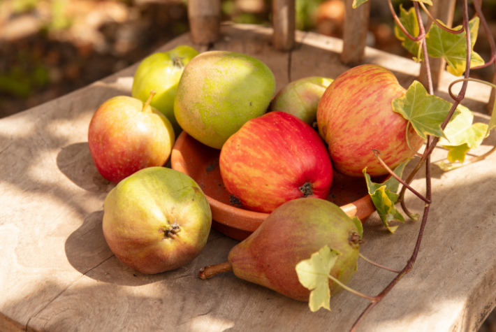 Gardening tips for November