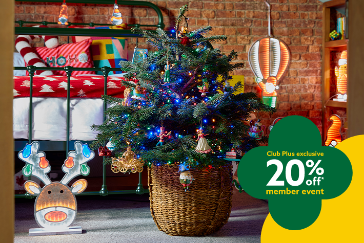 Pot grown tree Club Plus exclusive 20% off member event