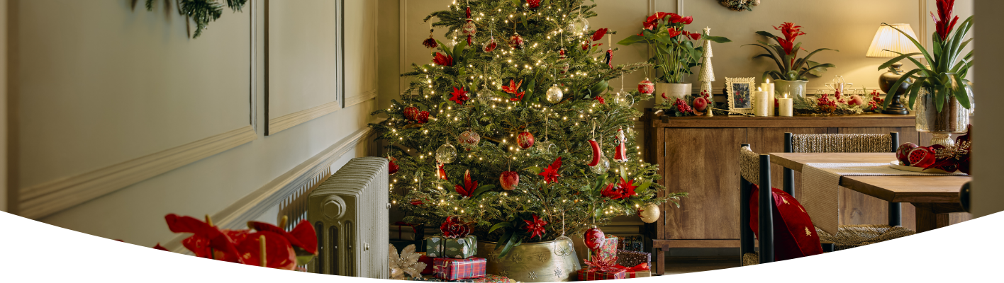 How long do real Christmas trees last