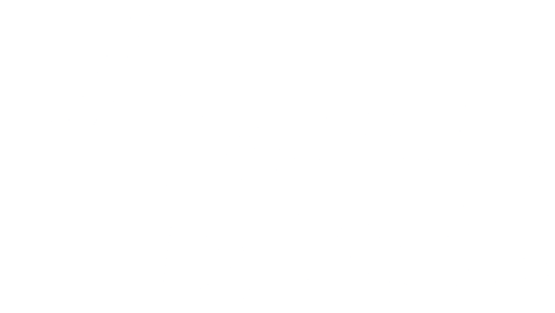 Verified Visa-Logo-white