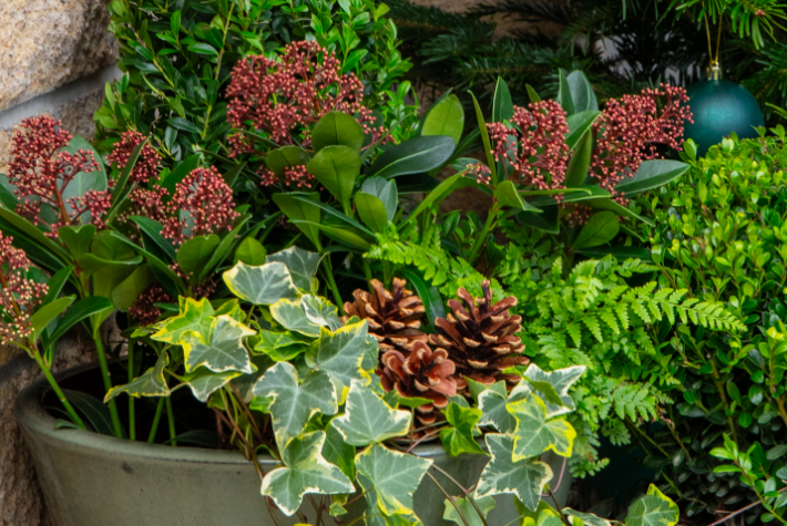 How to decorate a Christmas doorway