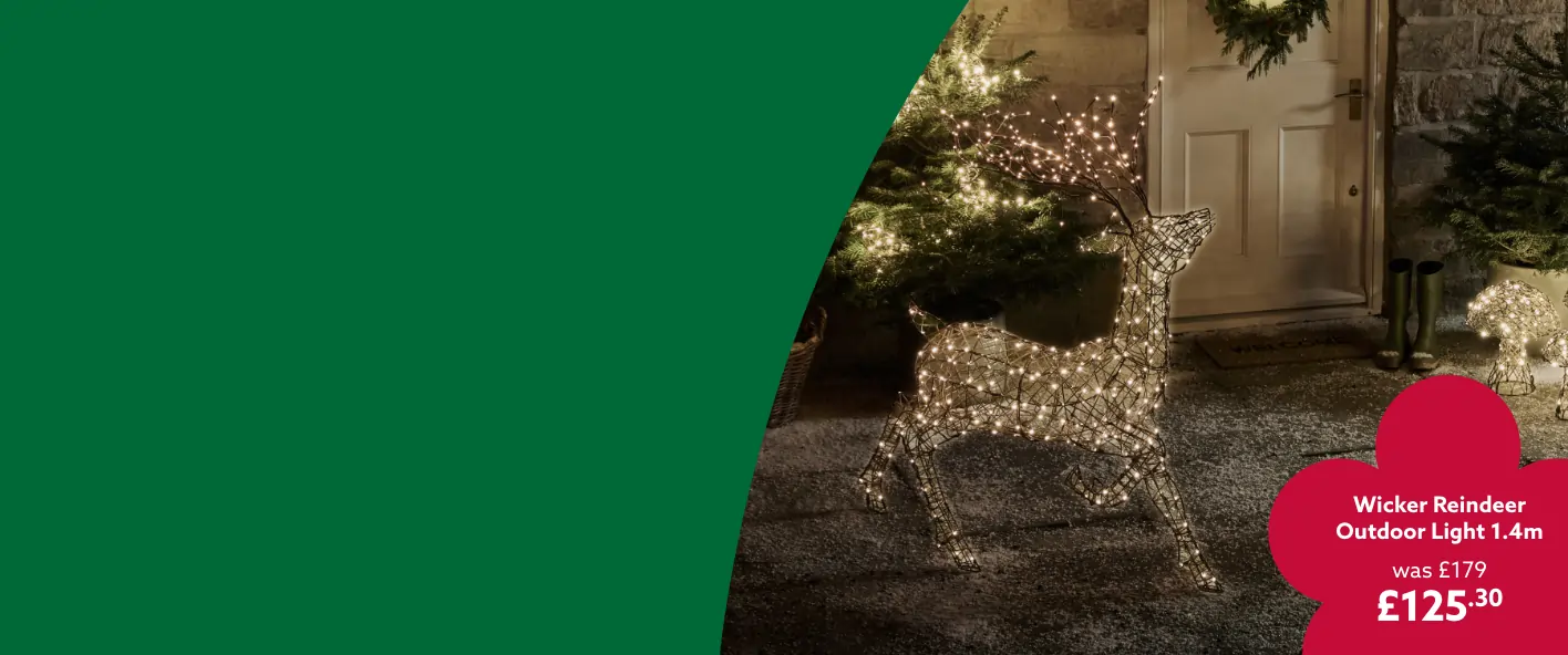 30% off Christmas lights