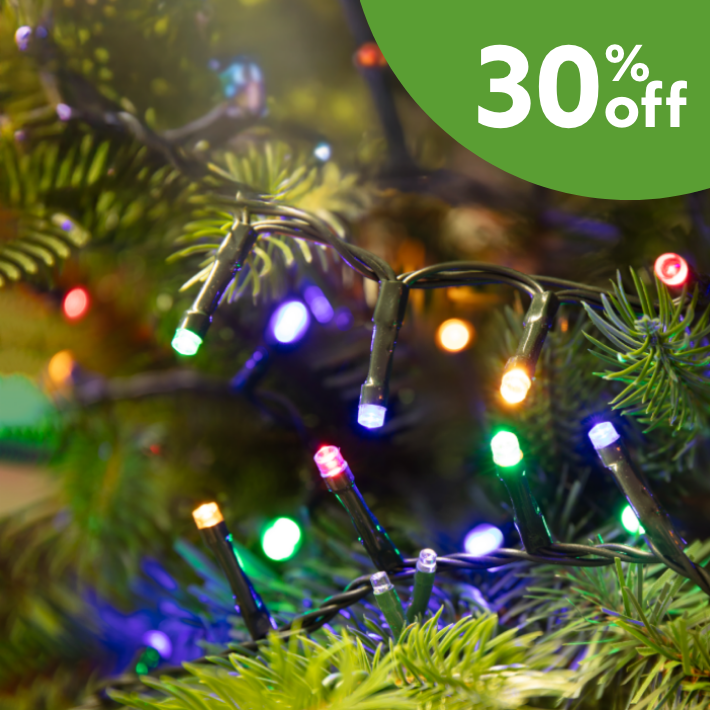 30% off Christmas lights