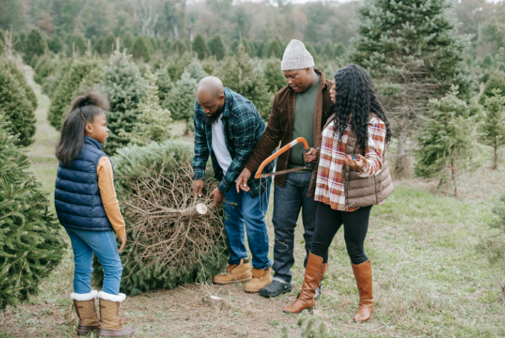 Turn your tree into a wildlife habitat