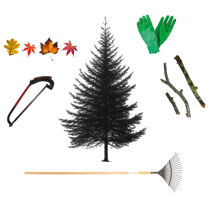 Turn your tree into a wildlife habitat