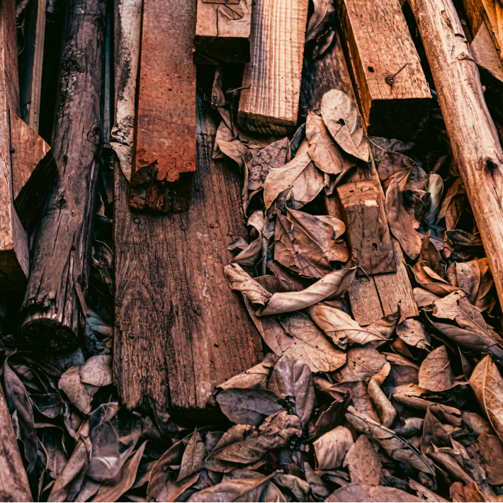 Give your old Christmas tree a newlife