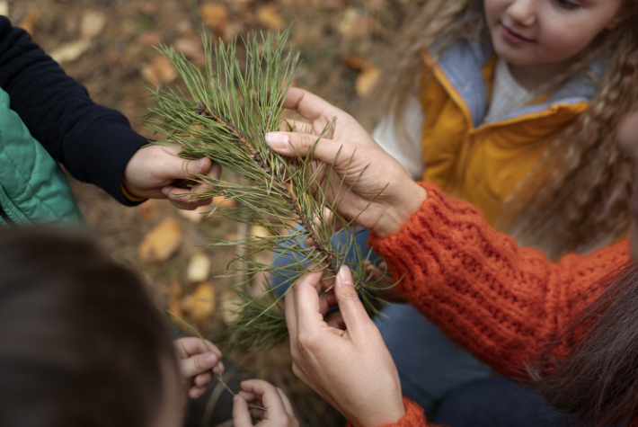 Give your old Christmas tree a newlife