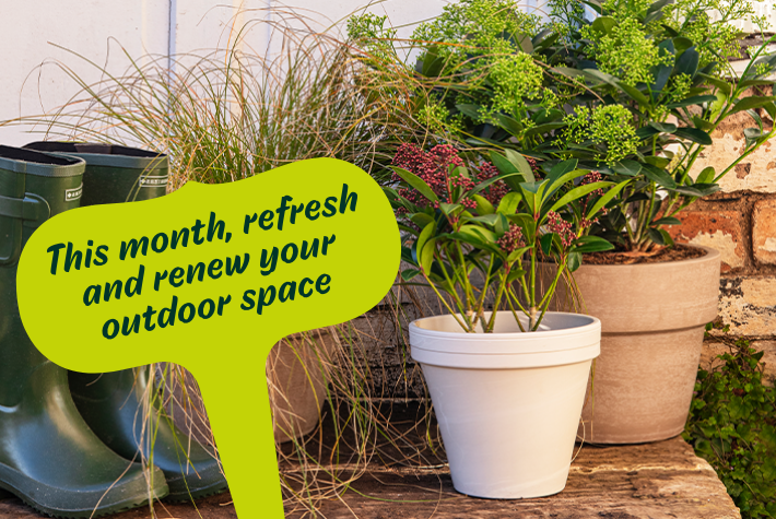 January Gardening Tips