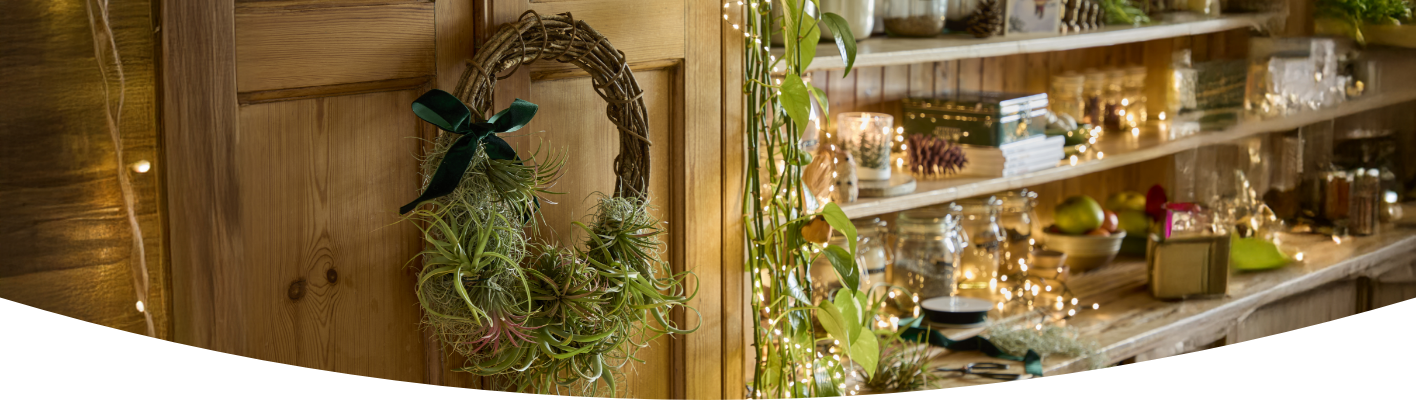 How to create an air plant wreath