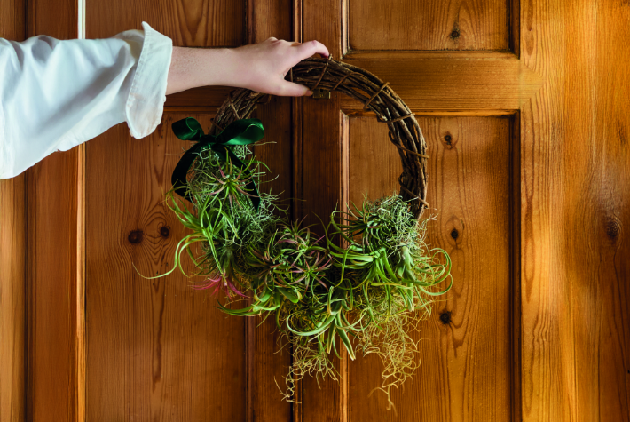 How to create an air plant wreath