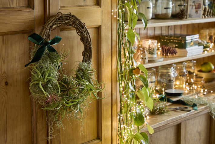 How to create an air plant wreath