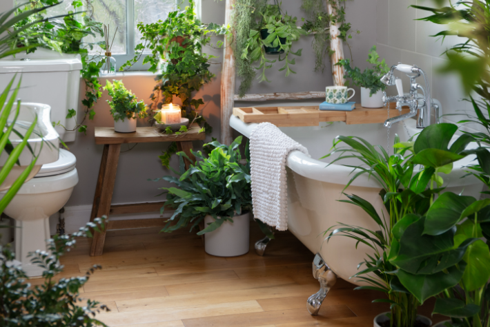 How to organise your houseplants by room