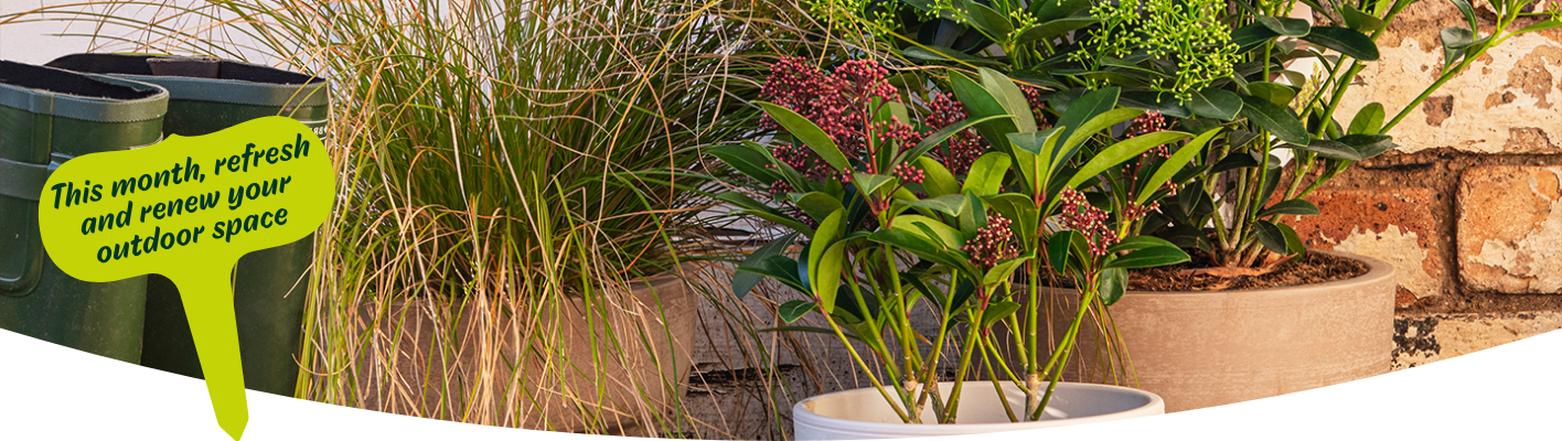 January Gardening Tips