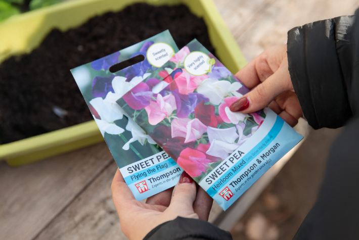 Flowers to plant in January