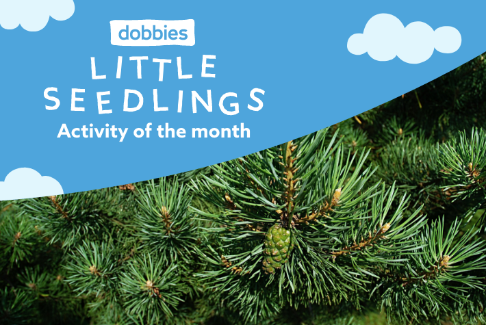 Christmas tree recycling