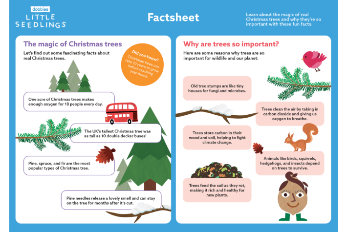 Christmas tree recycling