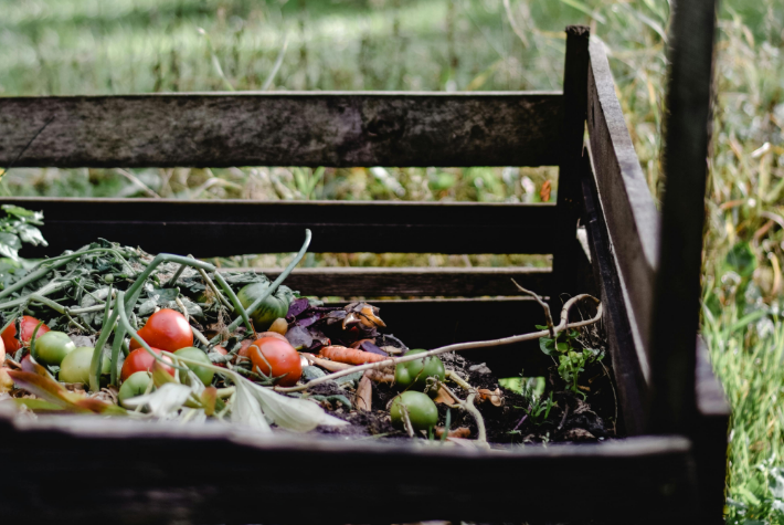 Turn your scraps into garden gold