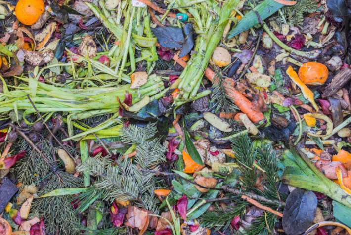 Turn your scraps into garden gold