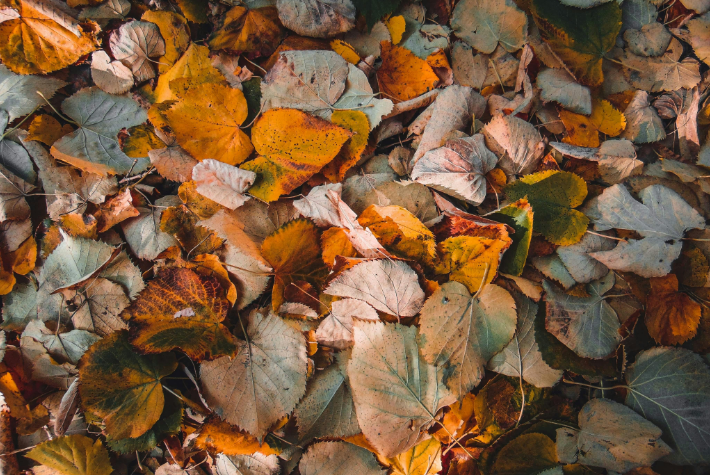 Team Green vs Team Brown Scrap Sorters