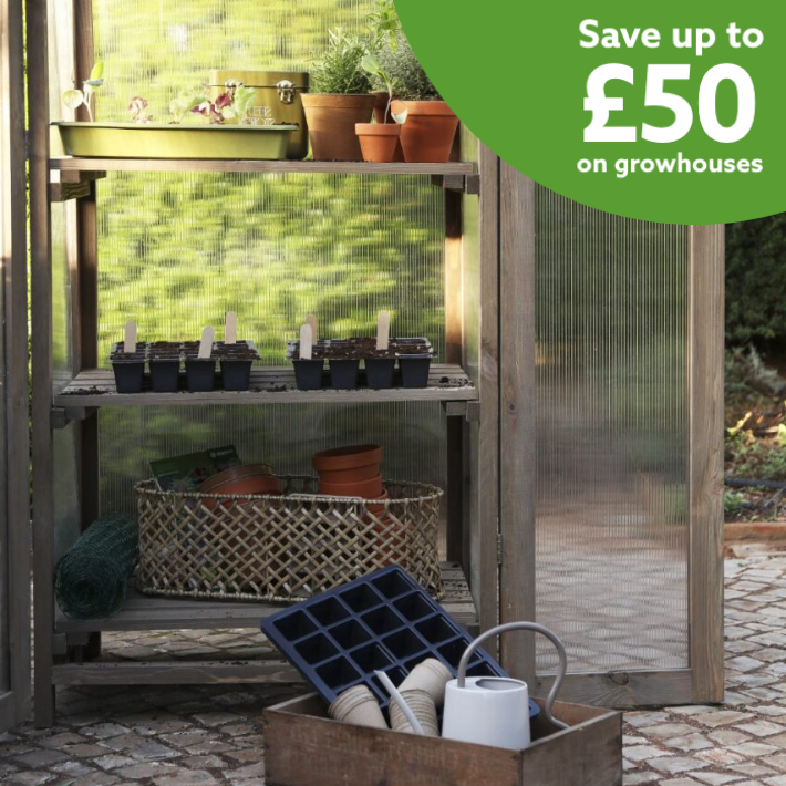 Spring gardening essentials