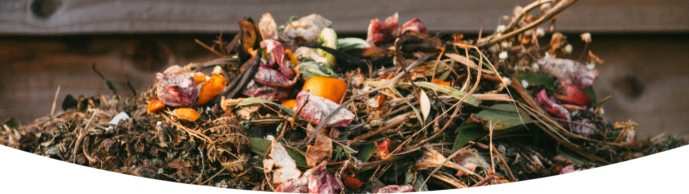 Turn your scraps into garden gold