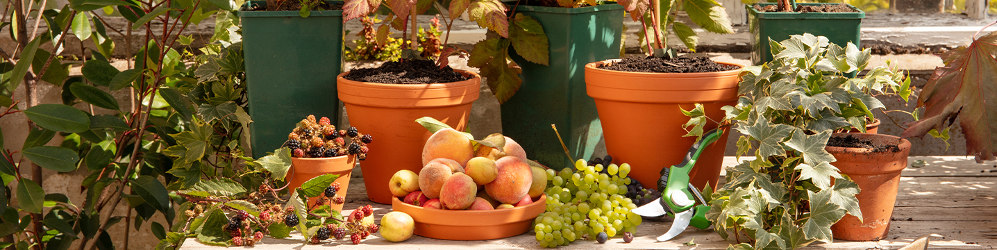 Membership and marketing preferences