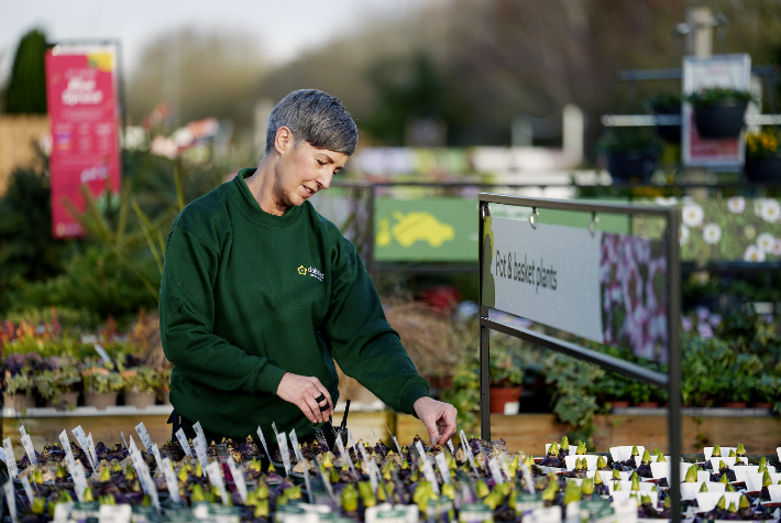 Moreton Park-Store-Plants