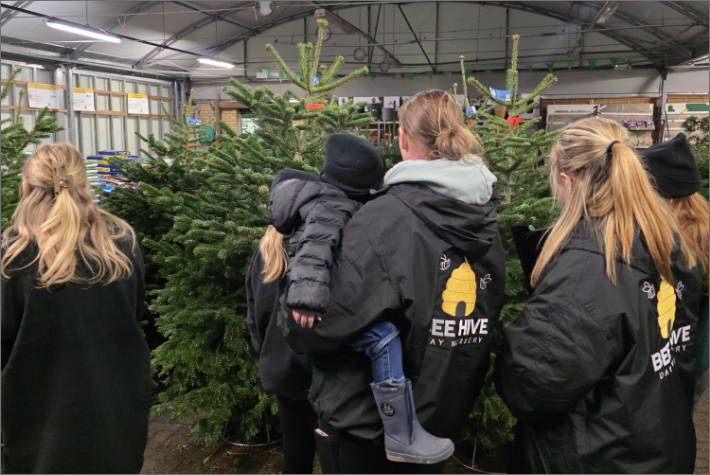 Community Christmas trees