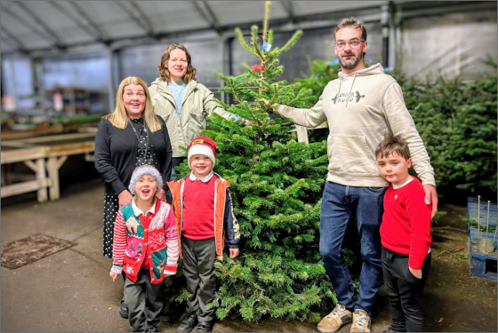 Community Christmas trees