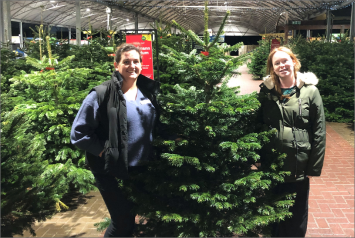 Community Christmas trees