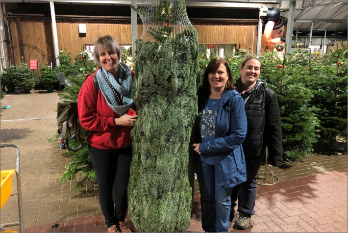 Community Christmas trees