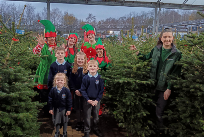 Community Christmas trees