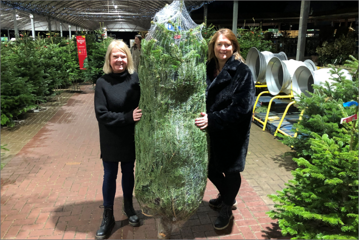 Community Christmas trees