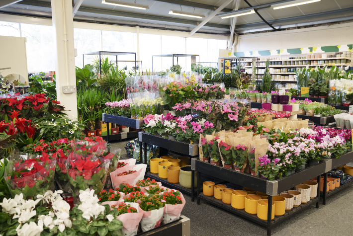 Moreton Park-Store-Ranges