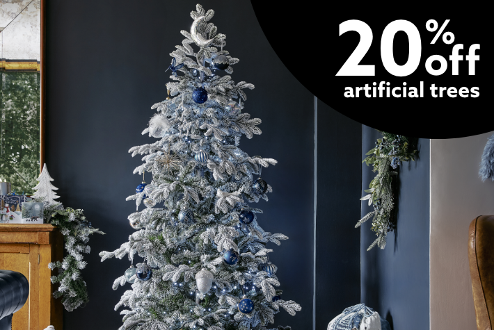 Christmas trees & wreaths