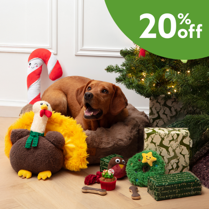 20% off Christmas gifts for pets