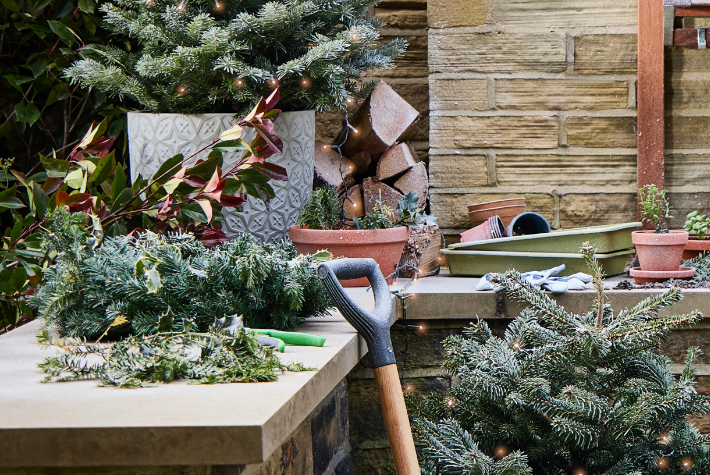 Recycling a real Christmas tree for wildlife