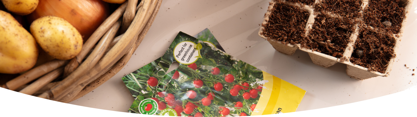 How to propagate seeds indoors