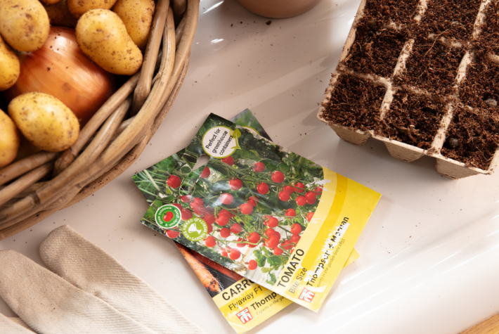 How to propagate seeds indoors