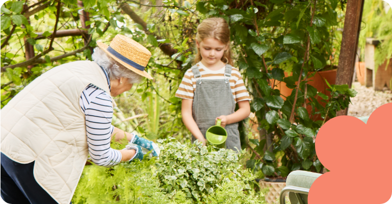 Now's the time to get gardening