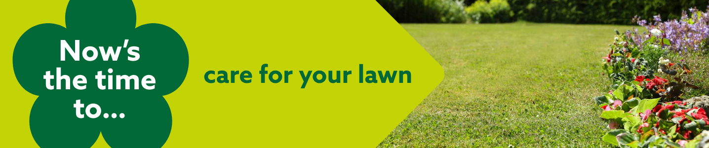 Now's the time to lawncare