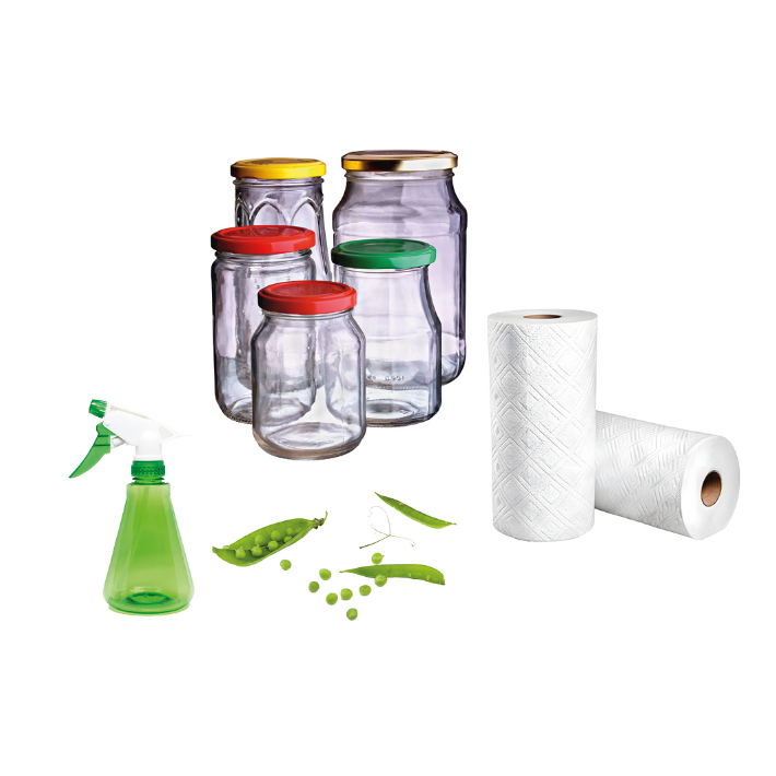 Sprouting peas growing experiment