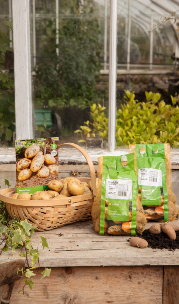 Gardening tips for March