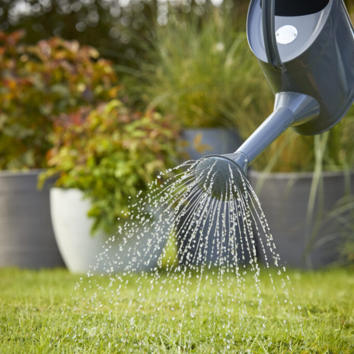 Gardening tips for March