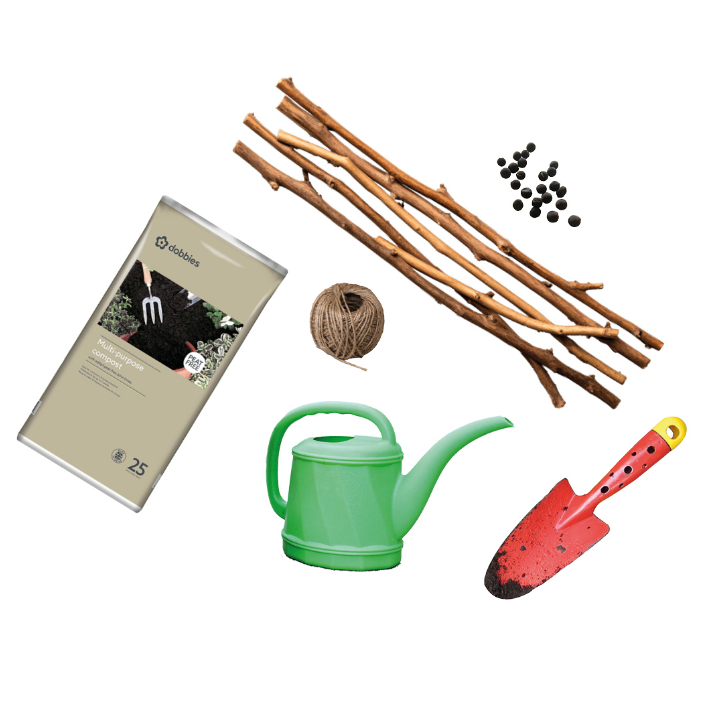 Grow a sweet pea teepee