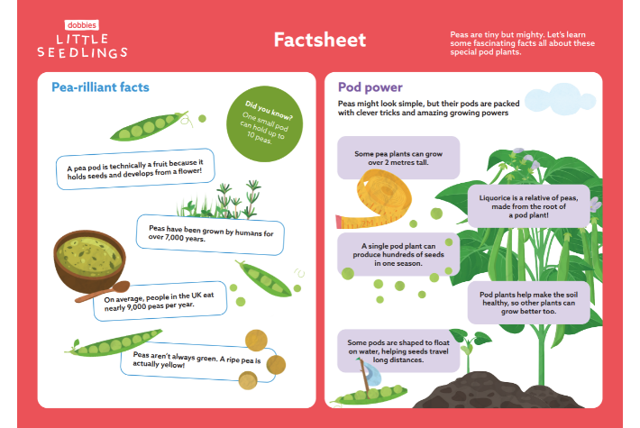 Perfect peas and pod plants