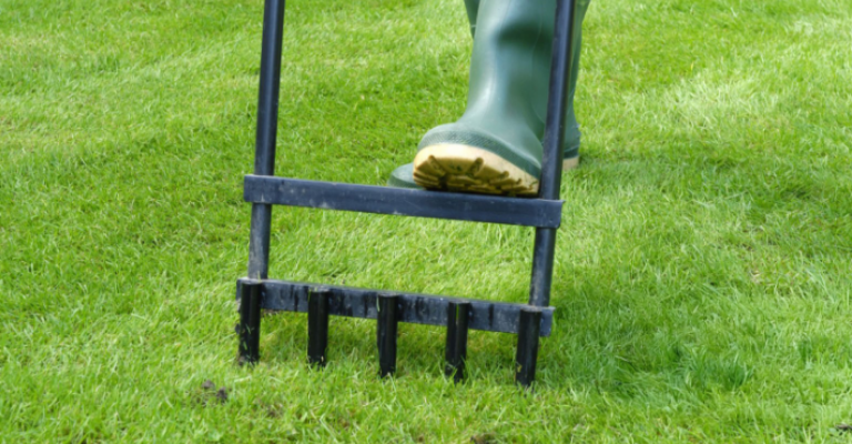 Scarify your lawn