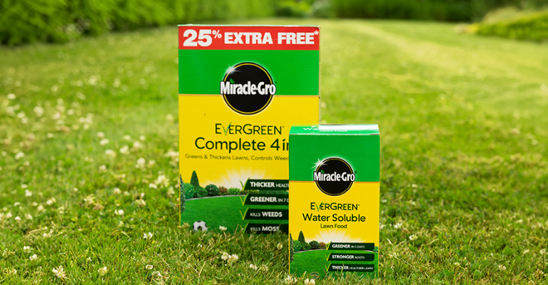 Lawncare-Feed & weed