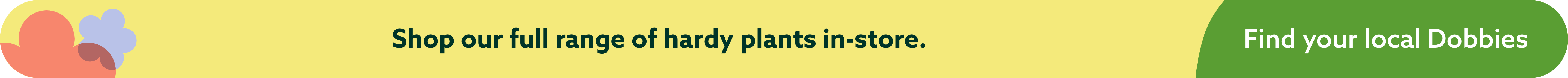 Shop our full range of hardy plants