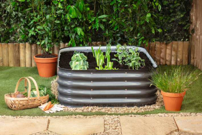 Five steps to start growing your own fruit and vegetable patch